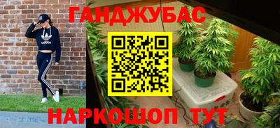 Альфа ПВП Гудермес